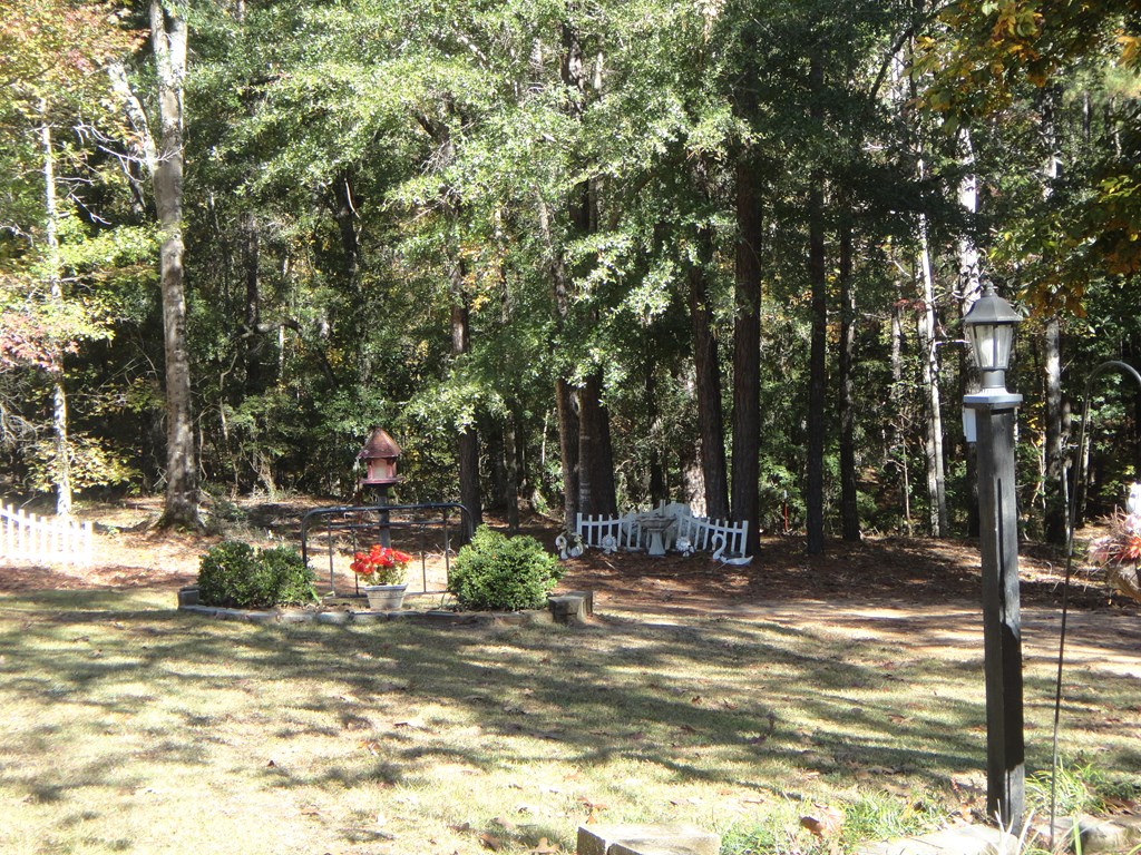 333 Pebble Cove Road Abbeville, AL 36310 - Photo 2 of 25