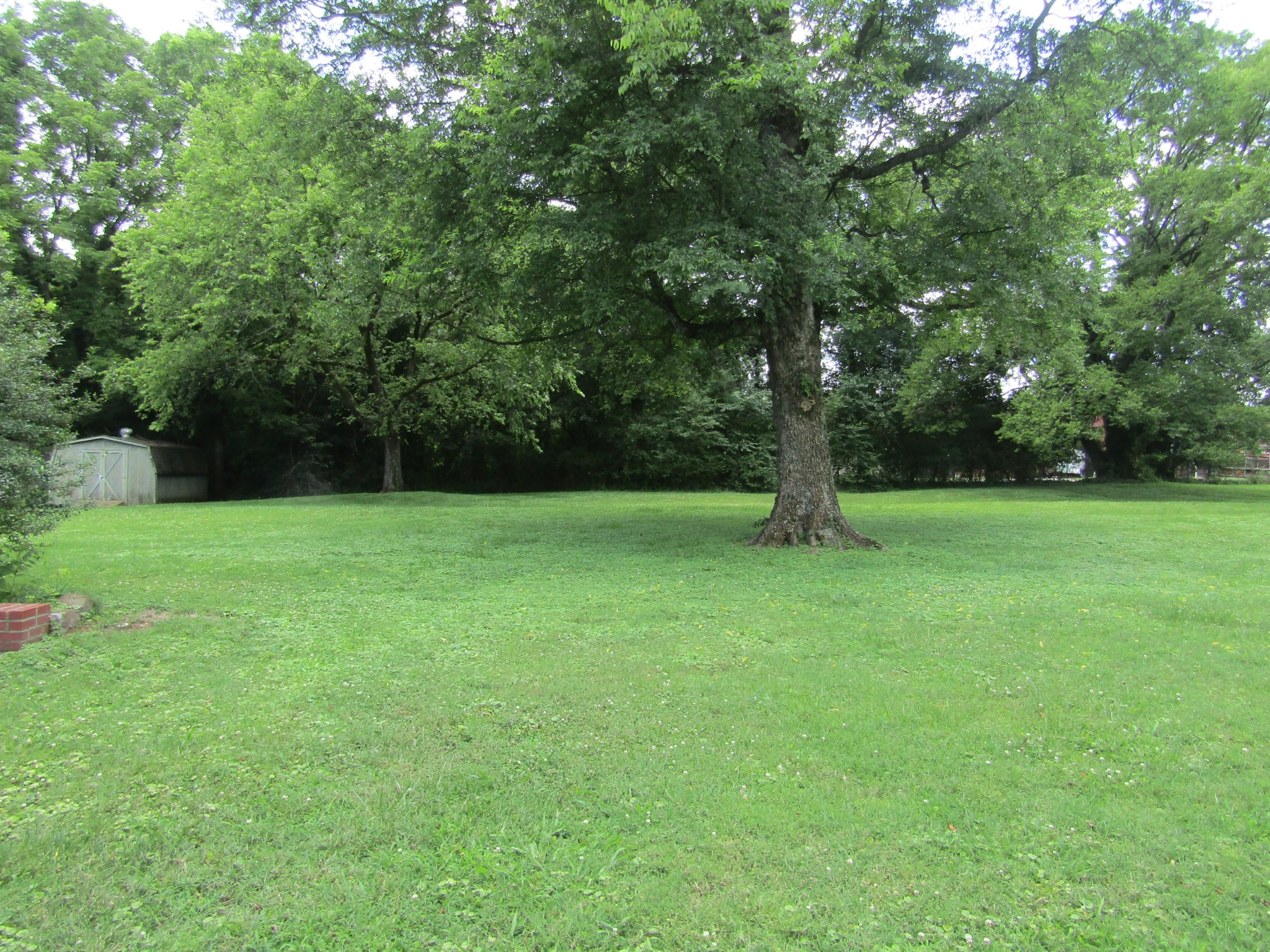 507 Magazine Road Pulaski, TN 38478 - Photo 7 of 28 Gallery Image 7