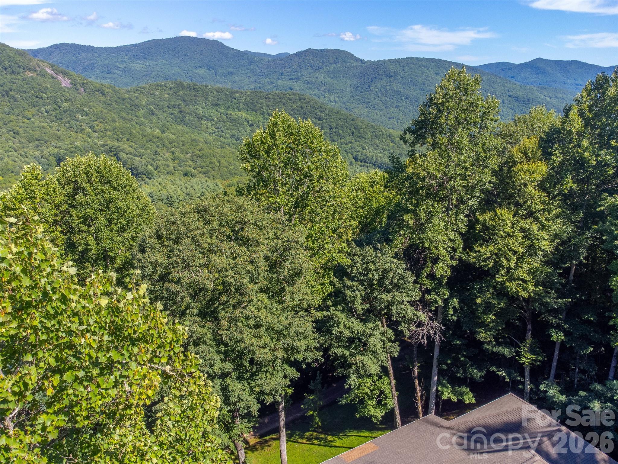 1838 Coman Road Franklin, NC 28734 - Photo 3 of 48 a view of a mountain with a outdoor space