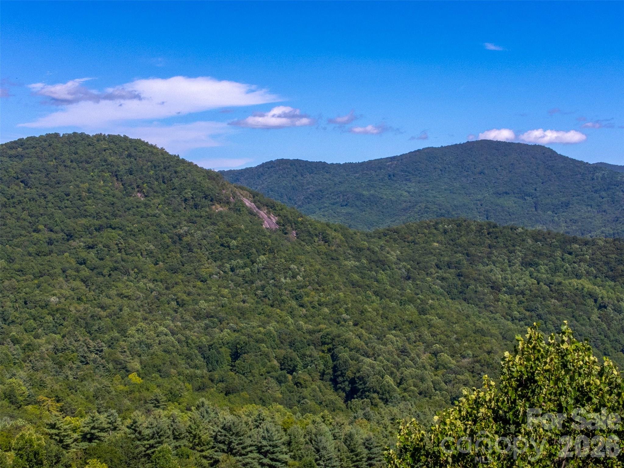 1838 Coman Road Franklin, NC 28734 - Photo 10 of 48 a view of a mountain