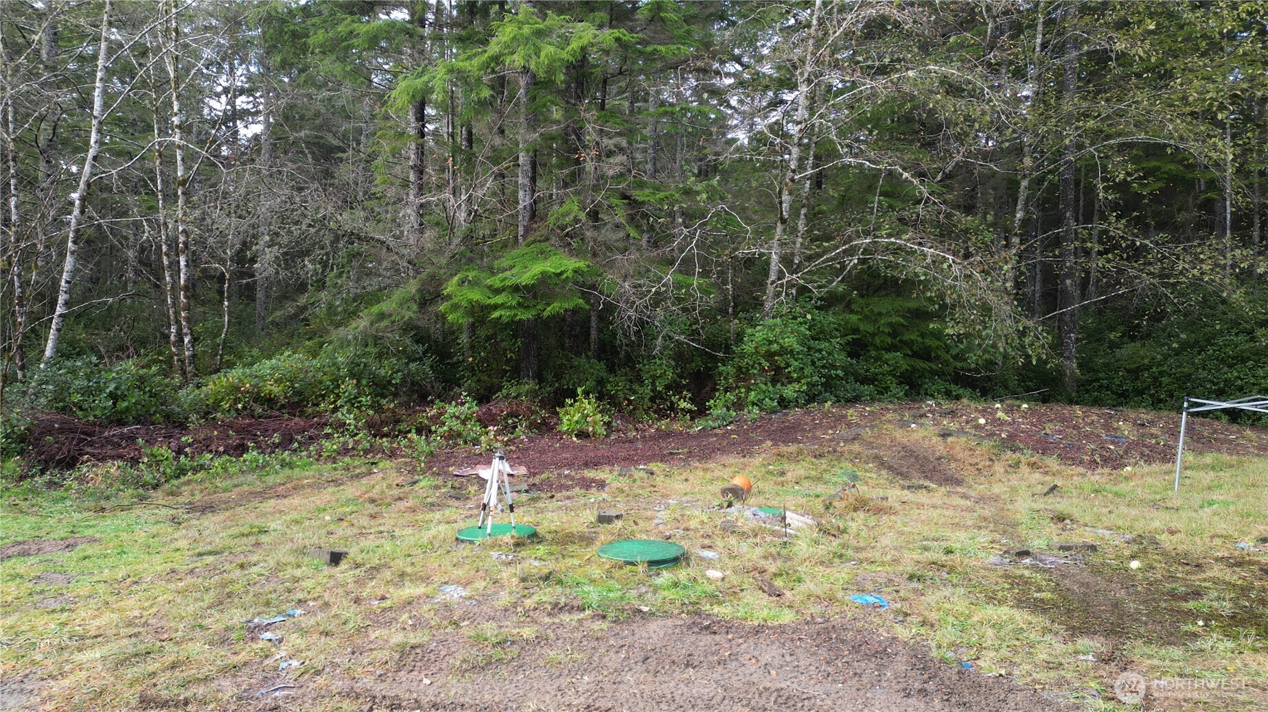36815 Stackpole Road Oysterville, WA 98641 - Photo 7 of 11 Gallery Image 7