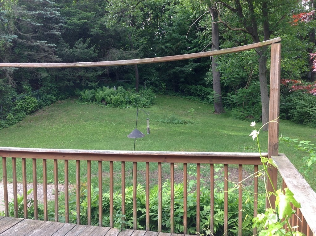 141 Bremen Street Springfield, MA 01108 - Photo 3 of 17 Gallery Image 3