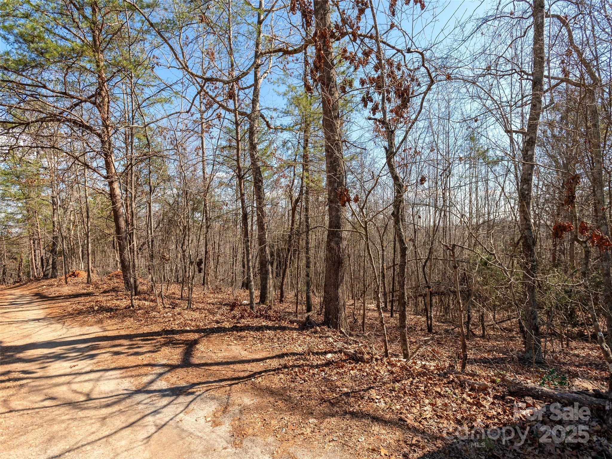 0 George Parker Drive Rutherfordton, NC 28139 - Photo 2 of 12 Gallery Image 2