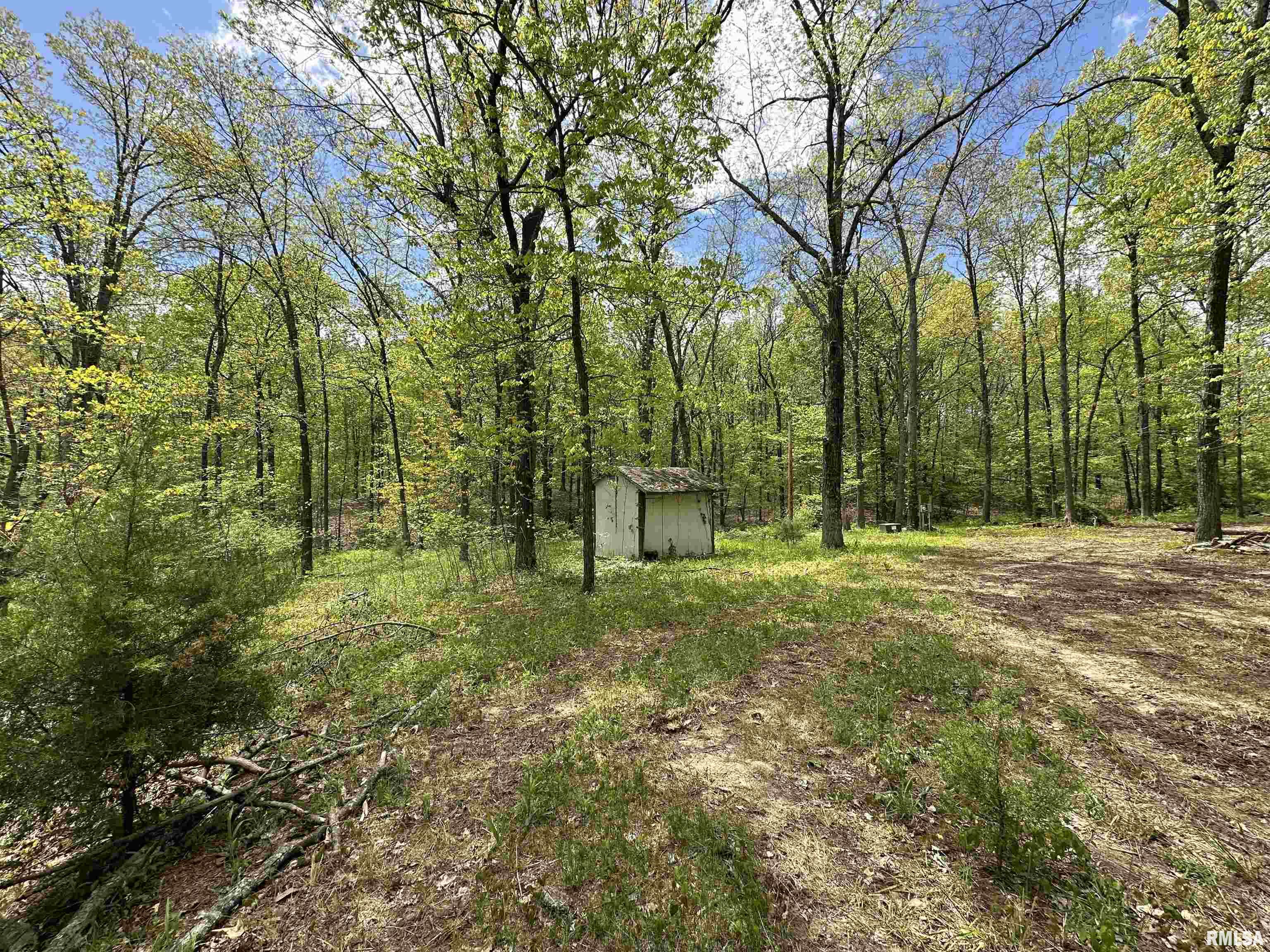 210 Belville Road New Burnside, IL 62967 - Photo 1 of 6