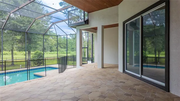 a view of a park with large trees