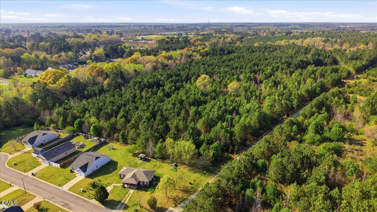 0 Bayleaf Road Selma, NC 27576 - Photo 3 of 7 2-Lizzie Mill Rd-1