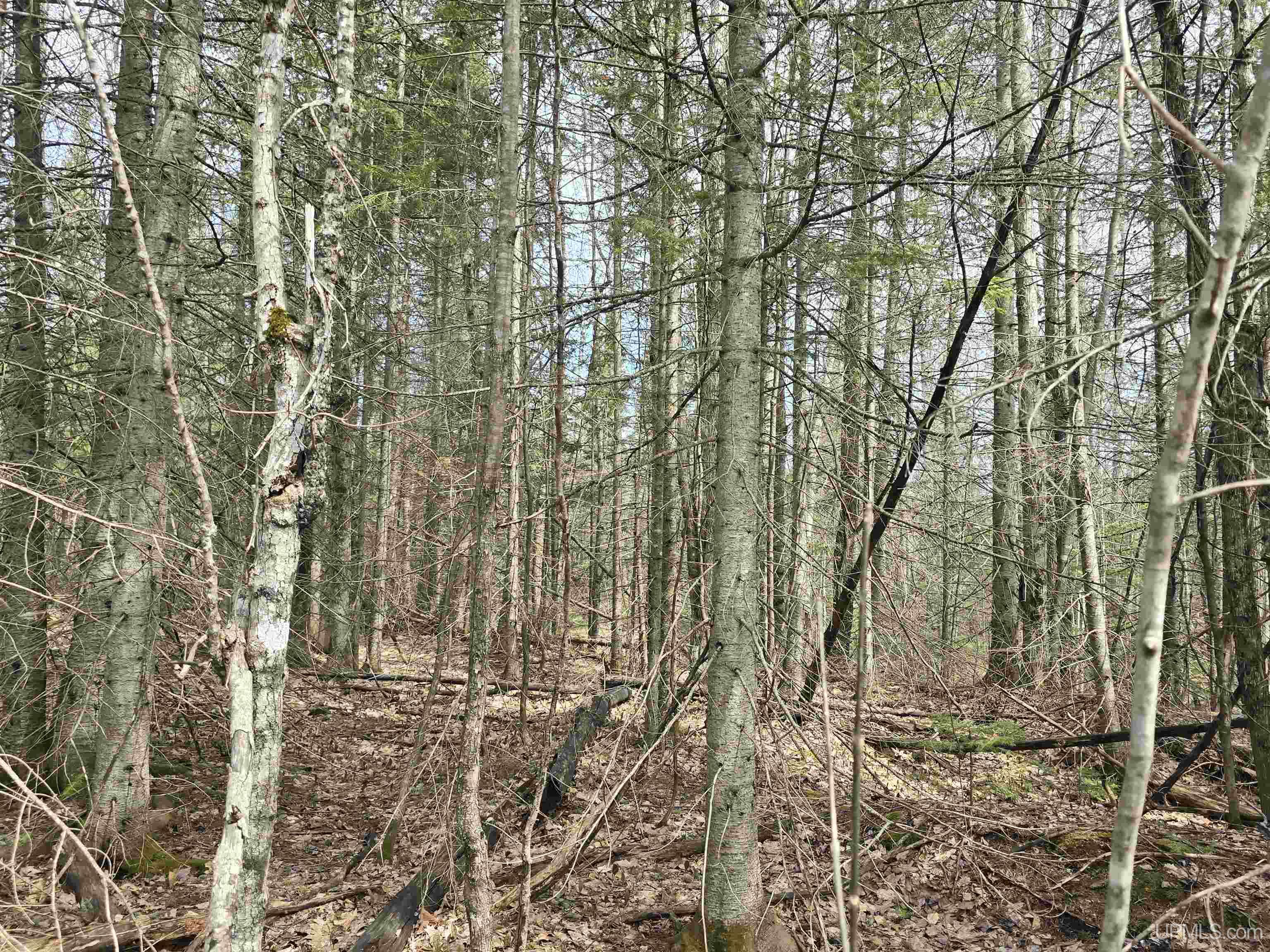 Tbd Woodspur Road Ontonagon, MI 49953 - Photo 37 of 46
