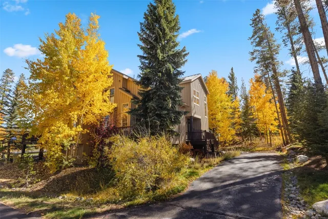 a view of a yard with plants and trees