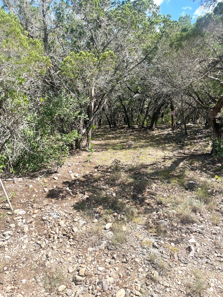 854 Pole Cave Crk Road Leakey, TX 78873 - Photo 14 of 21