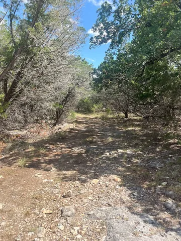 a view of a field of the tree