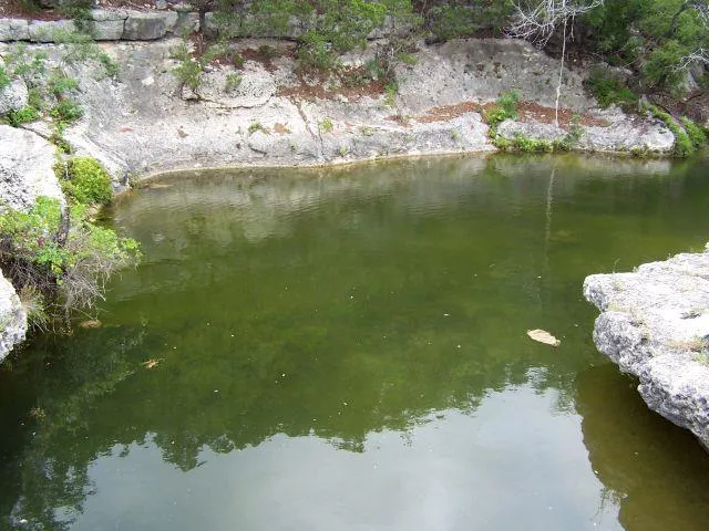 a view of a lake from a yard