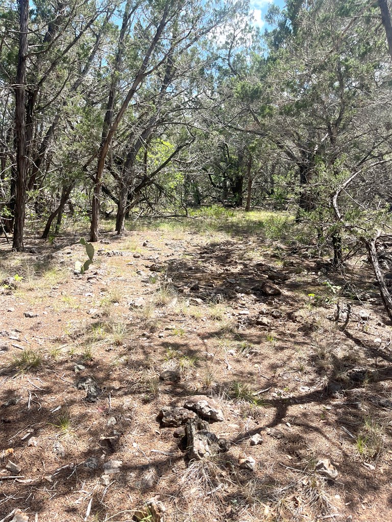 854 Pole Cave Crk Road Leakey, TX 78873 - Photo 5 of 21