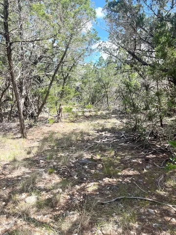a backyard of a house with a trees