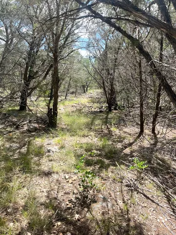 a view of yard covered with snow