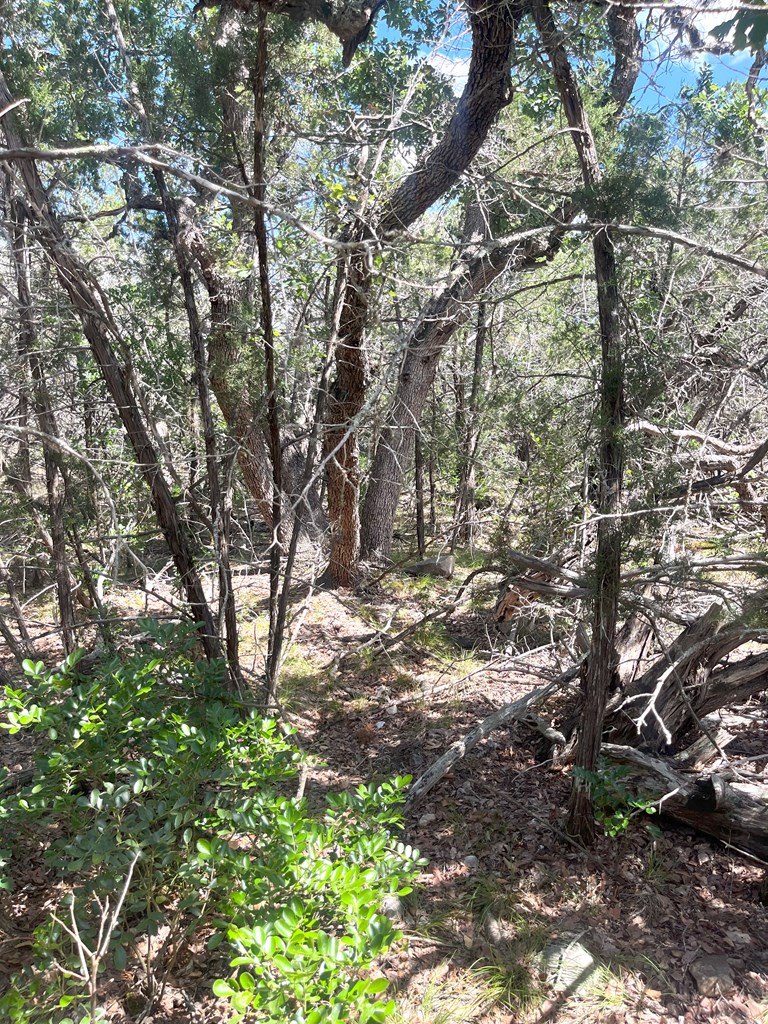 854 Pole Cave Crk Road Leakey, TX 78873 - Photo 10 of 21
