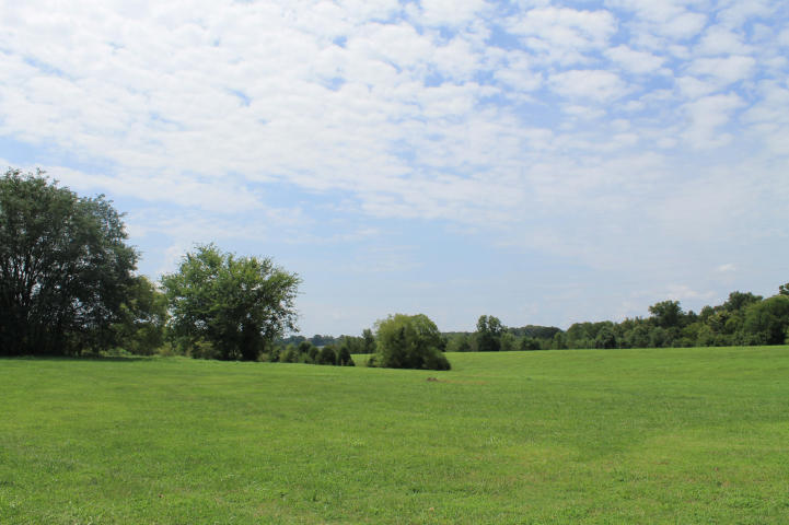 Cody Road White Pine, TN 37890 - Photo 4 of 8 20140825203949707050000000-o
