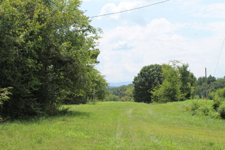 Cody Road White Pine, TN 37890 - Photo 5 of 8 20140825204009258254000000-o