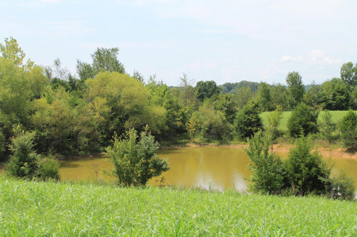 Cody Road White Pine, TN 37890 - Photo 6 of 8 20140825204028608505000000-o