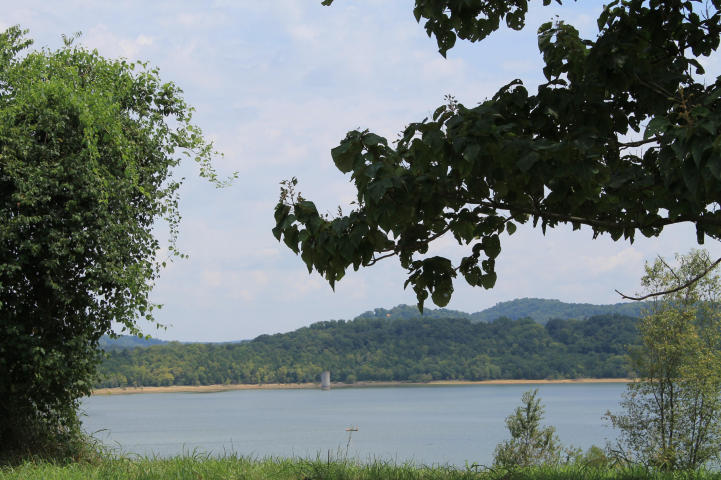 Cody Road White Pine, TN 37890 - Photo 7 of 8 20140825204045091861000000-o