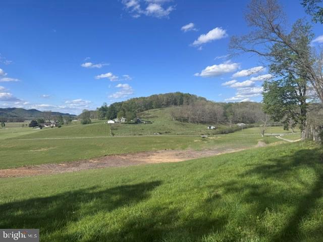 Tbd Shaffers Run Road Mill Creek, WV 26280 - Photo 5 of 43