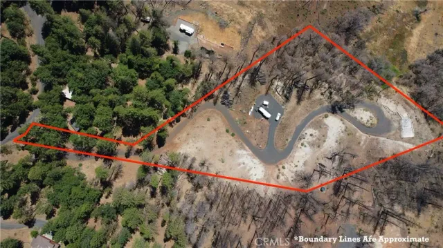 a view of a tree in the backyard