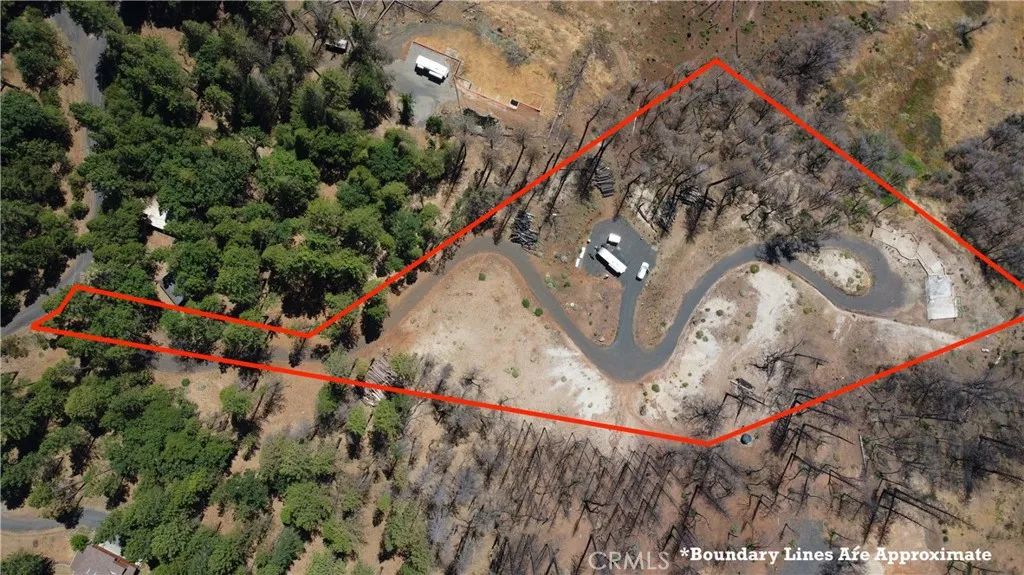 a view of a tree in the backyard