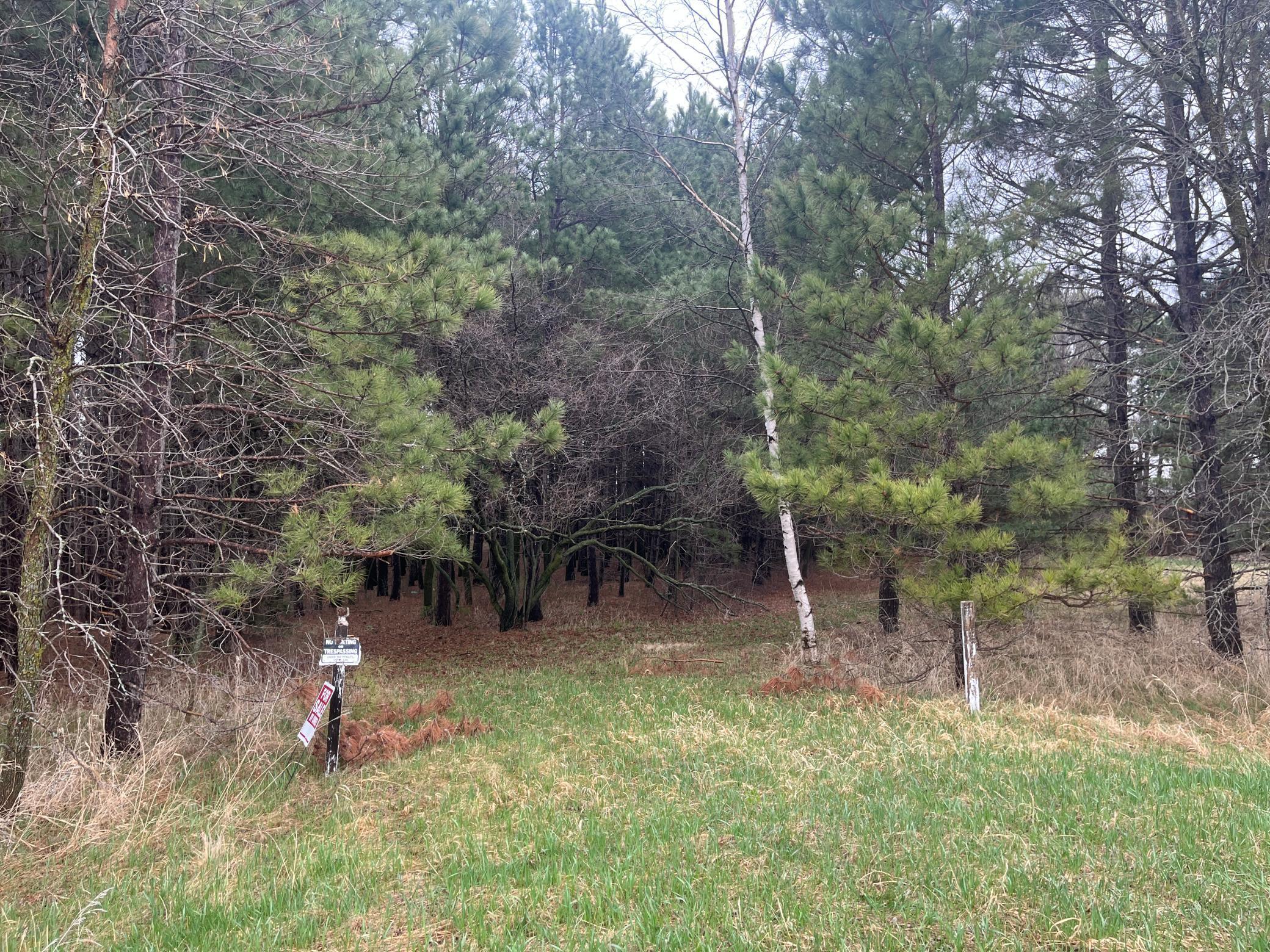 67 Old 67 Road Henning, MN 56551 - Photo 10 of 10