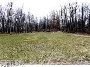 College Street Southwest Canton, OH 44706 - Photo 1 of 1