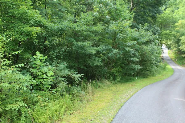 $45,000 | Lot 26 Trillium Heights Circle, Brasstown, NC 28902