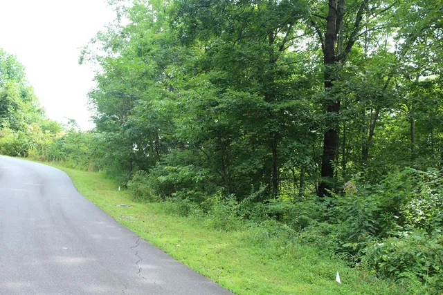 $45,000 | Lot 26 Trillium Heights Circle, Brasstown, NC 28902