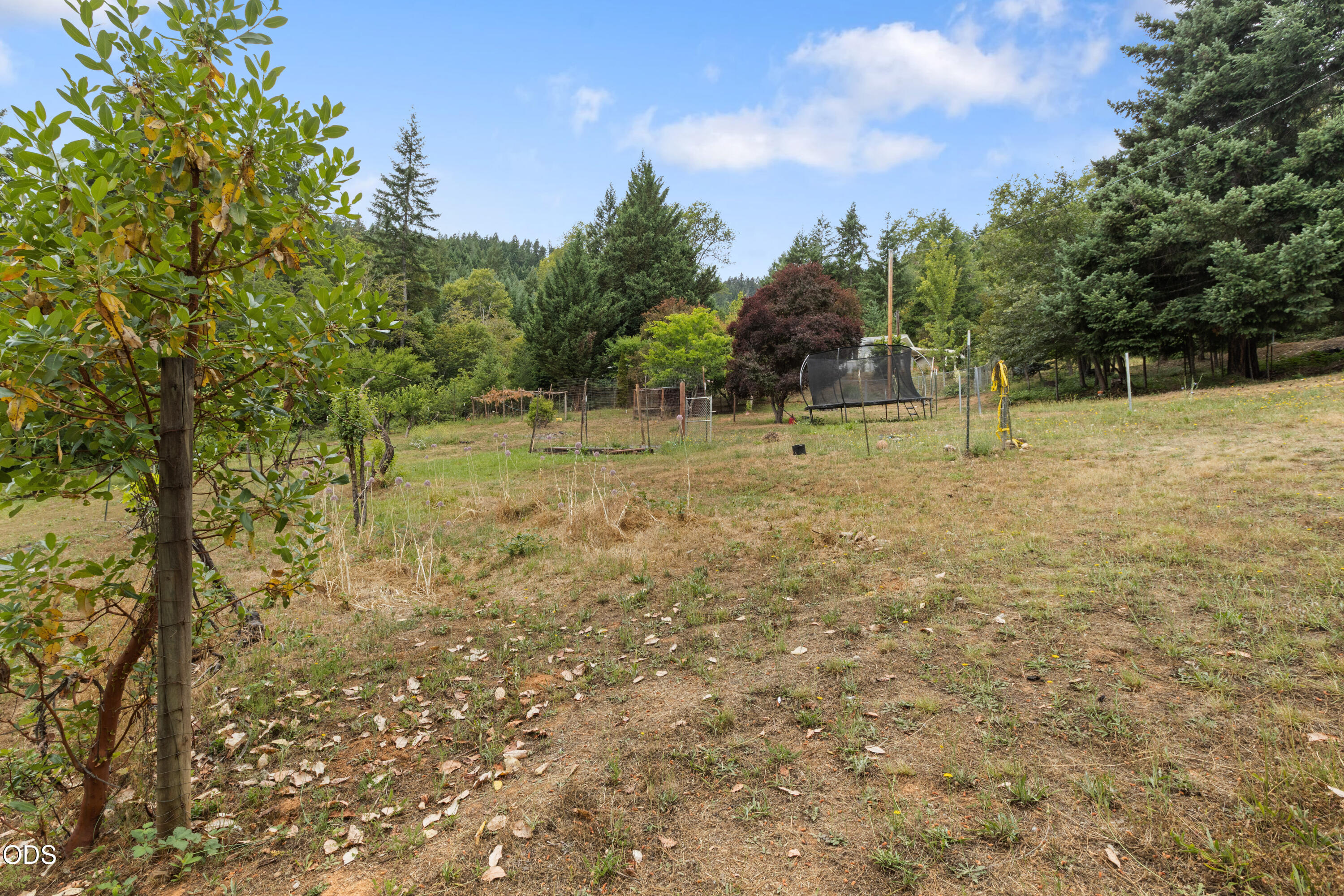 484 Brimstone Road Wolf Creek, OR 97497 - Photo 5 of 48