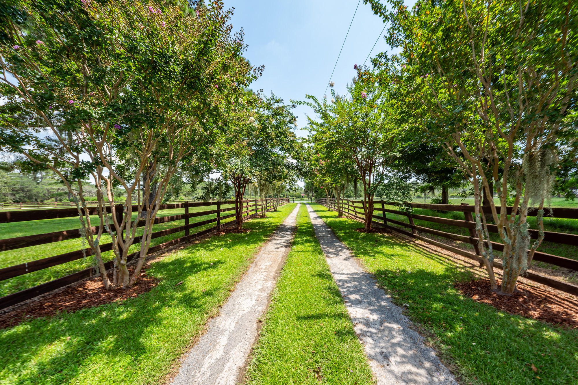 4835 Wilson Road Hollywood, SC 29449 - Photo 3 of 97 Driveway
