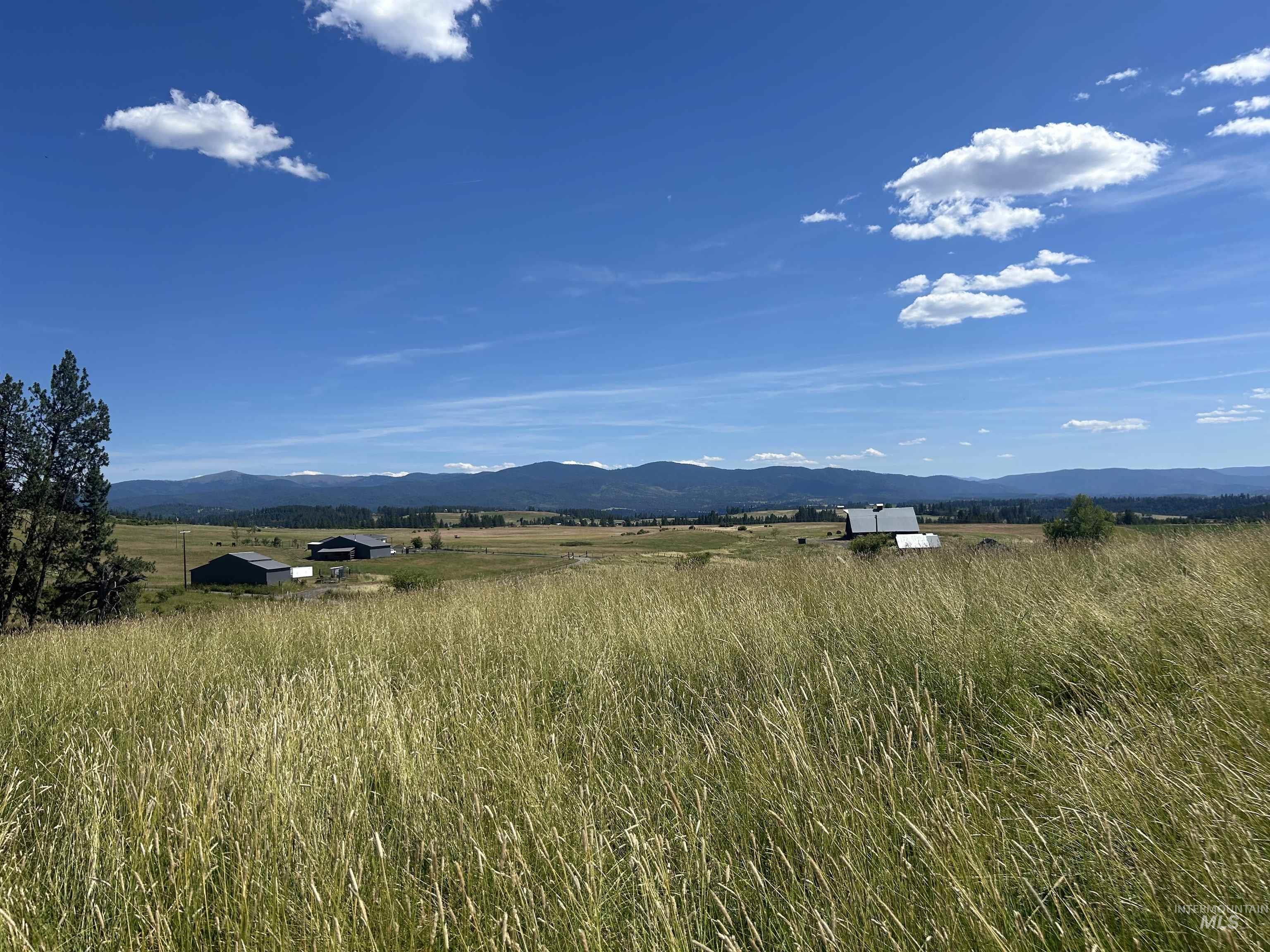 Tbd Lot 1 Tbd Road Kooskia, ID 83539 - Photo 6 of 13