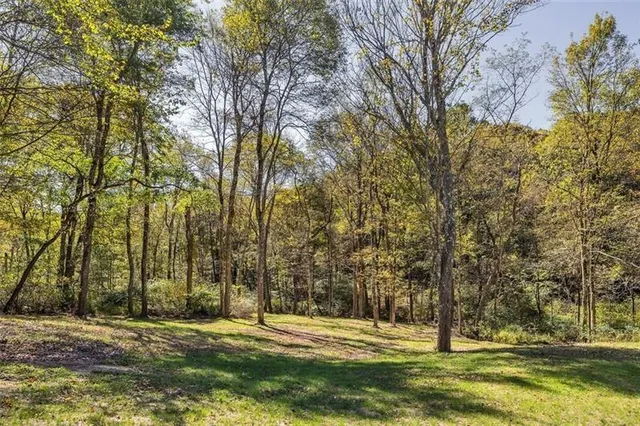 a view of outdoor space with trees