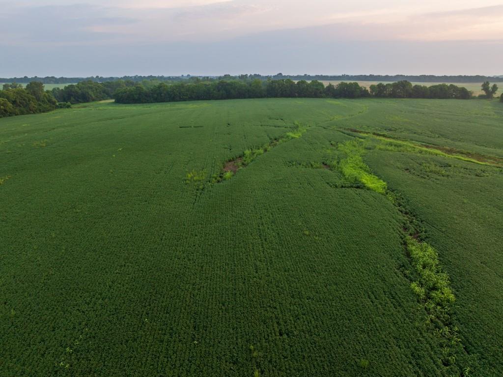 Tbd Southwest 1300 Road Chilhowee, MO 64733 - Photo 16 of 67 Gallery Image 16