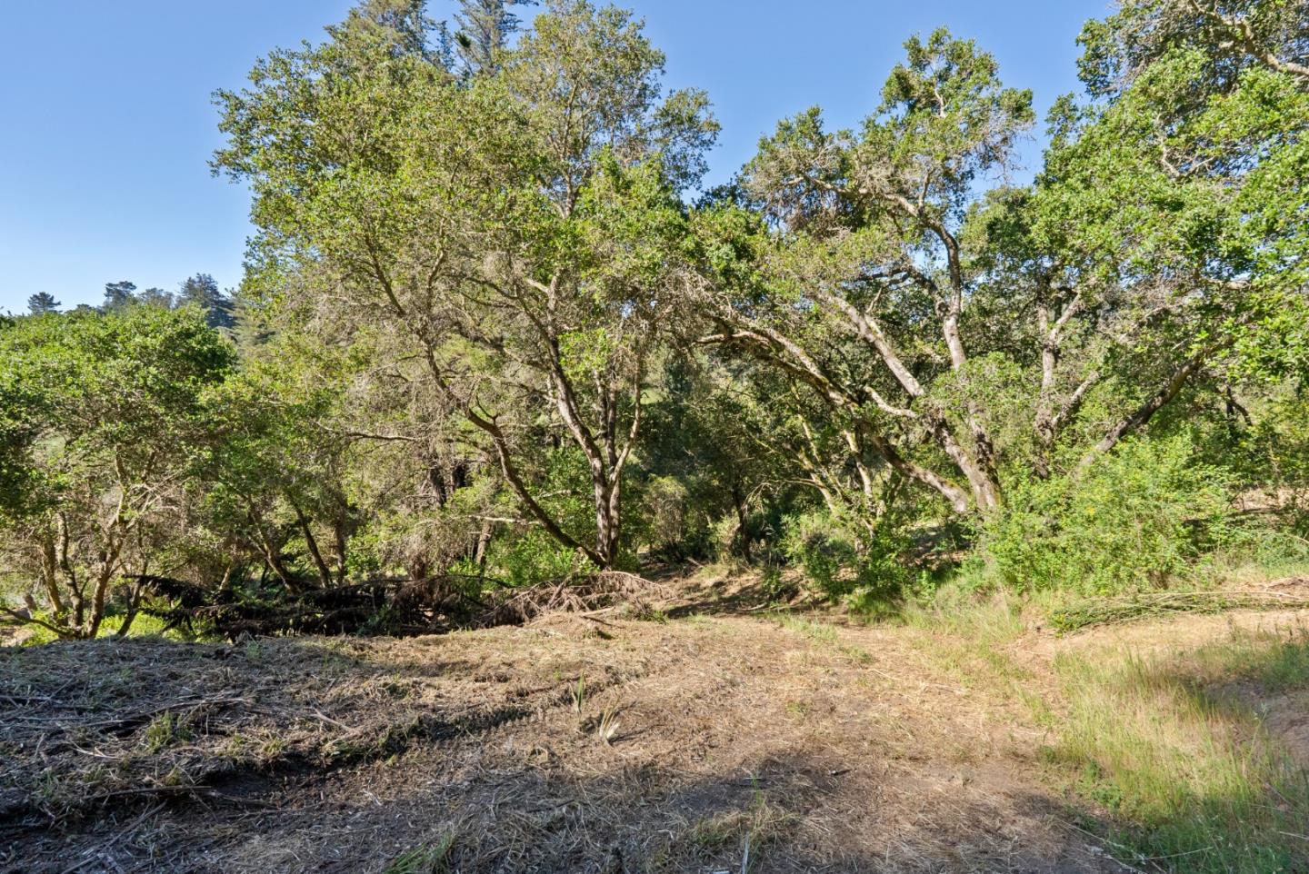 688 Calabasas Road Watsonville, CA 95076 - Photo 82 of 85