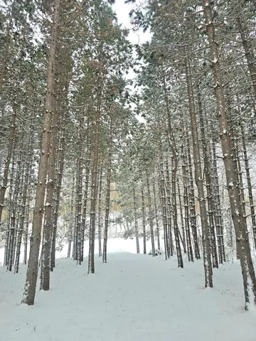 $865,000 | 30180 Tower Road, Detroit Lakes, MN 56501