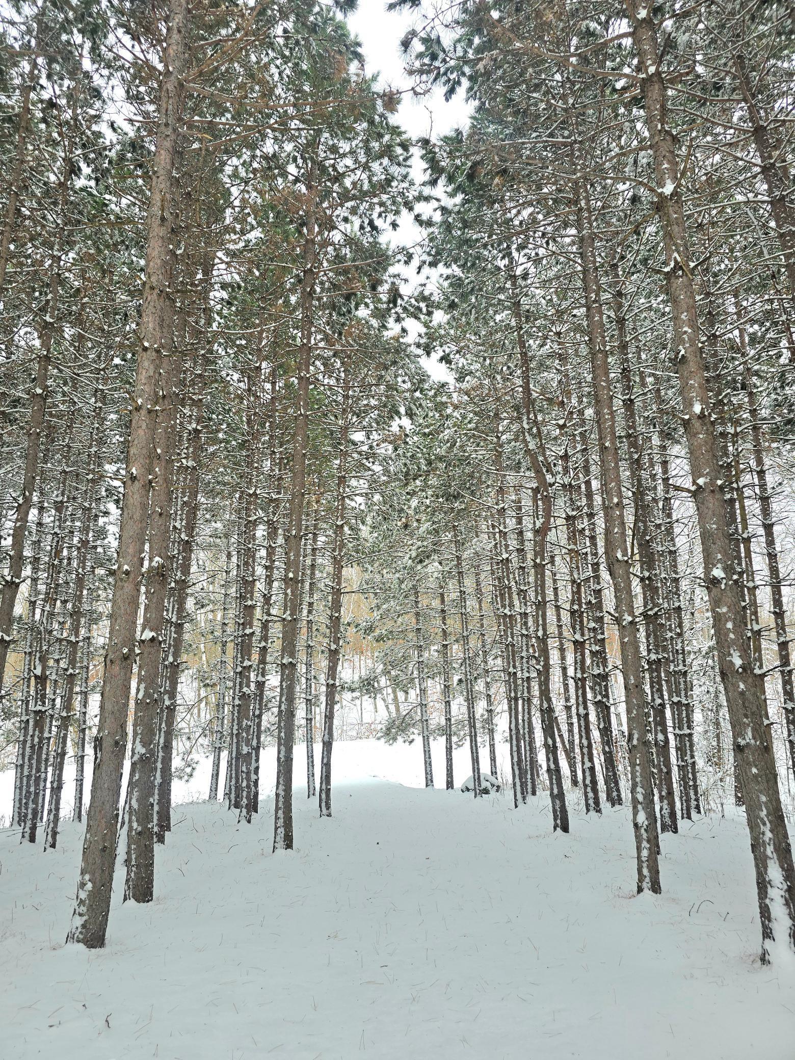 30180 Tower Road Detroit Lakes, MN 56501 - Photo 2 of 65