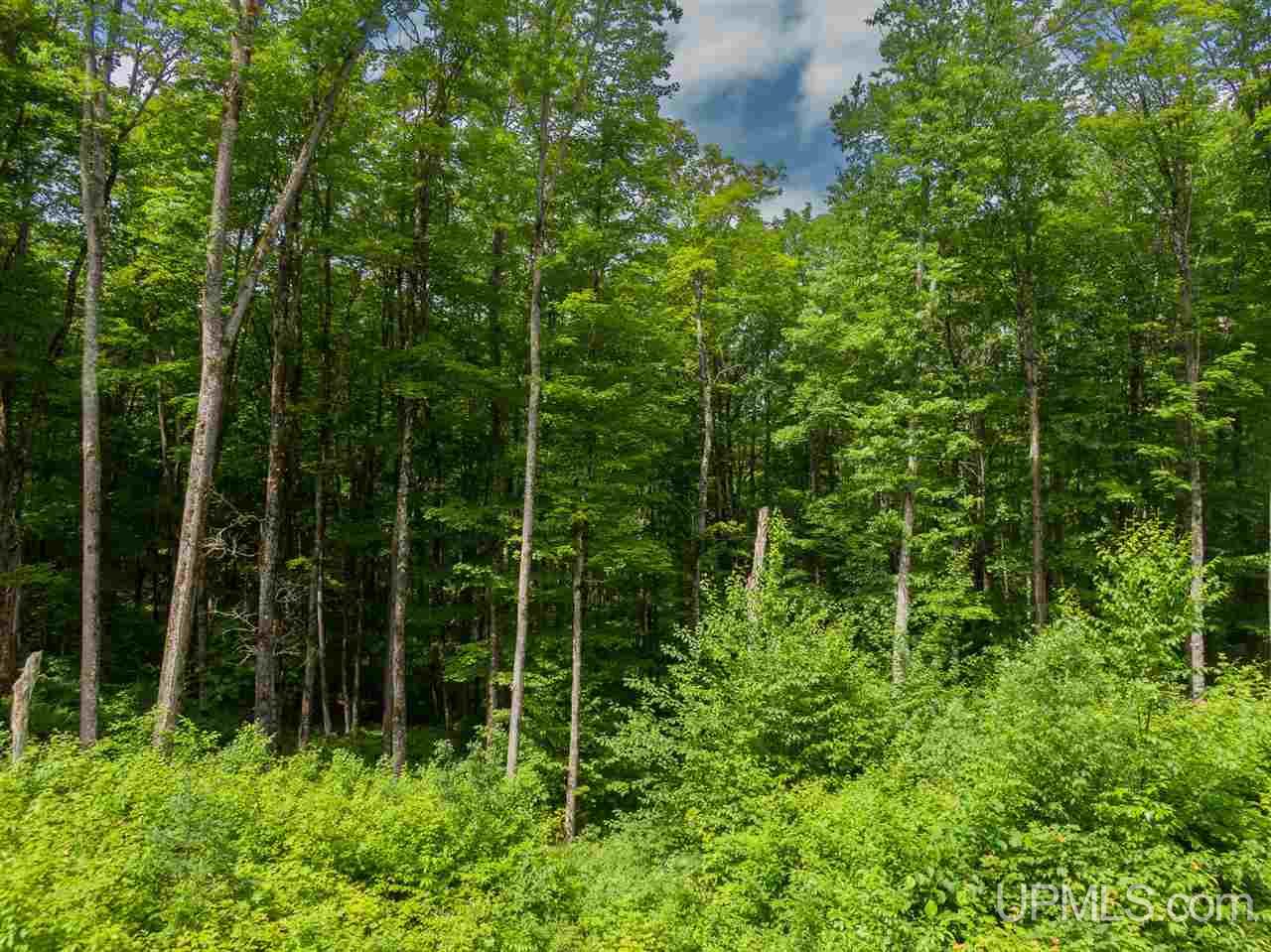 Lot 27 Red Maple Landing Marenisco, MI 49947 - Photo 9 of 9