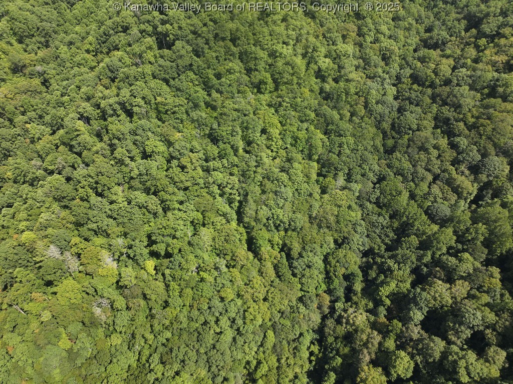 0 Trap Fork Road Panther, WV 24872 - Photo 5 of 18 Gallery Image 5