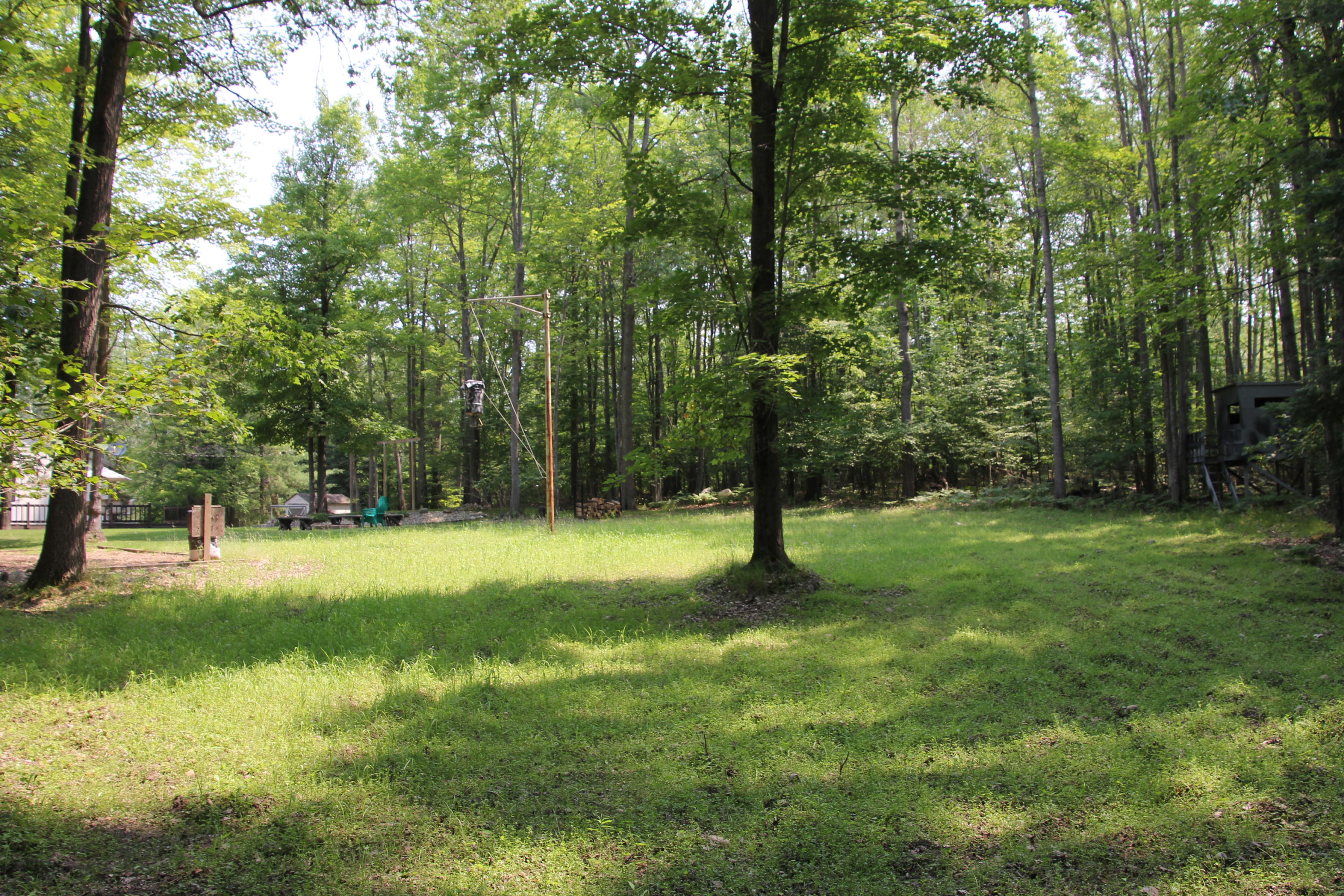 14195 McMurphy Road Atlanta, MI 49709 - Photo 66 of 77 Gallery Image 66