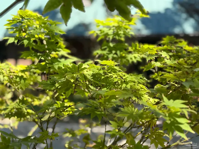 $444,500 | 10030 Autumn Lane, Pensacola, FL 32514