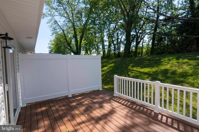 a view of a patio with couches and a potted plant
