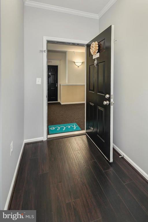 1515 North Point Drive, Unit 304 Reston, VA 20194 - Photo 2 of 23 Front Foyer