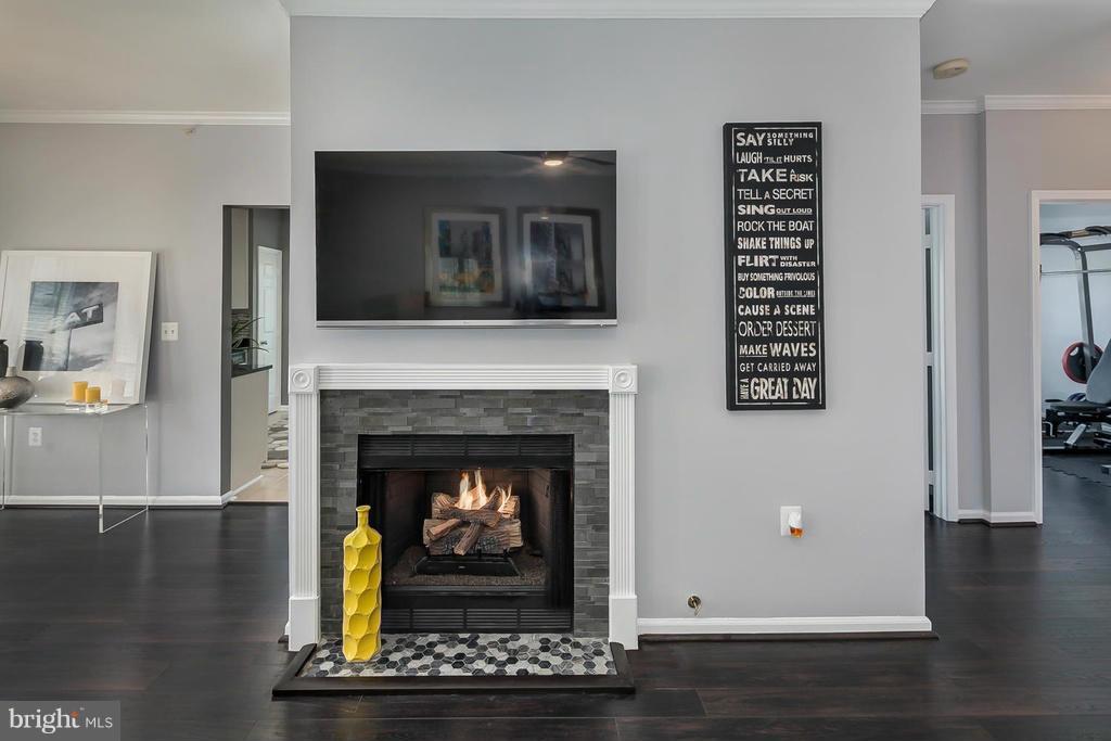1515 North Point Drive, Unit 304 Reston, VA 20194 - Photo 6 of 23 Beautiful Gas Fireplace with Custom Surround