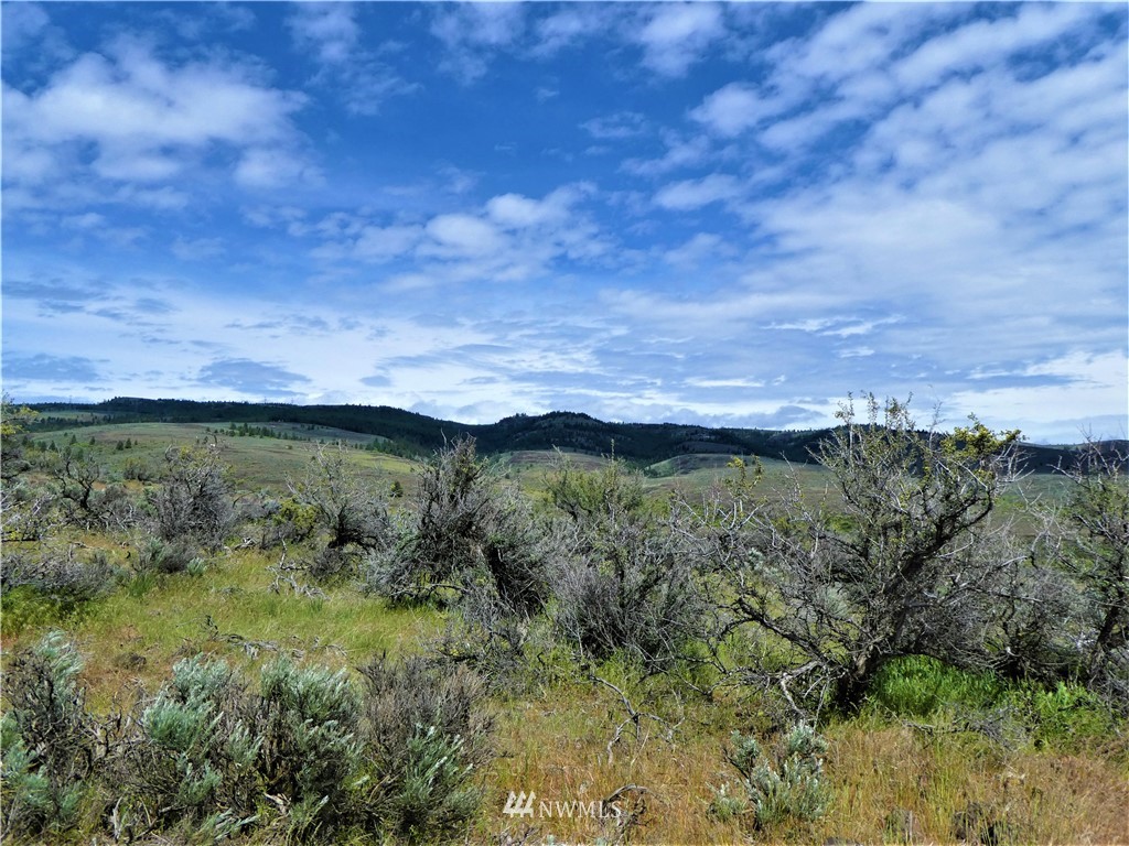 0 Colockum Road Ellensburg, WA 98926 - Photo 22 of 25 Gallery Image 22
