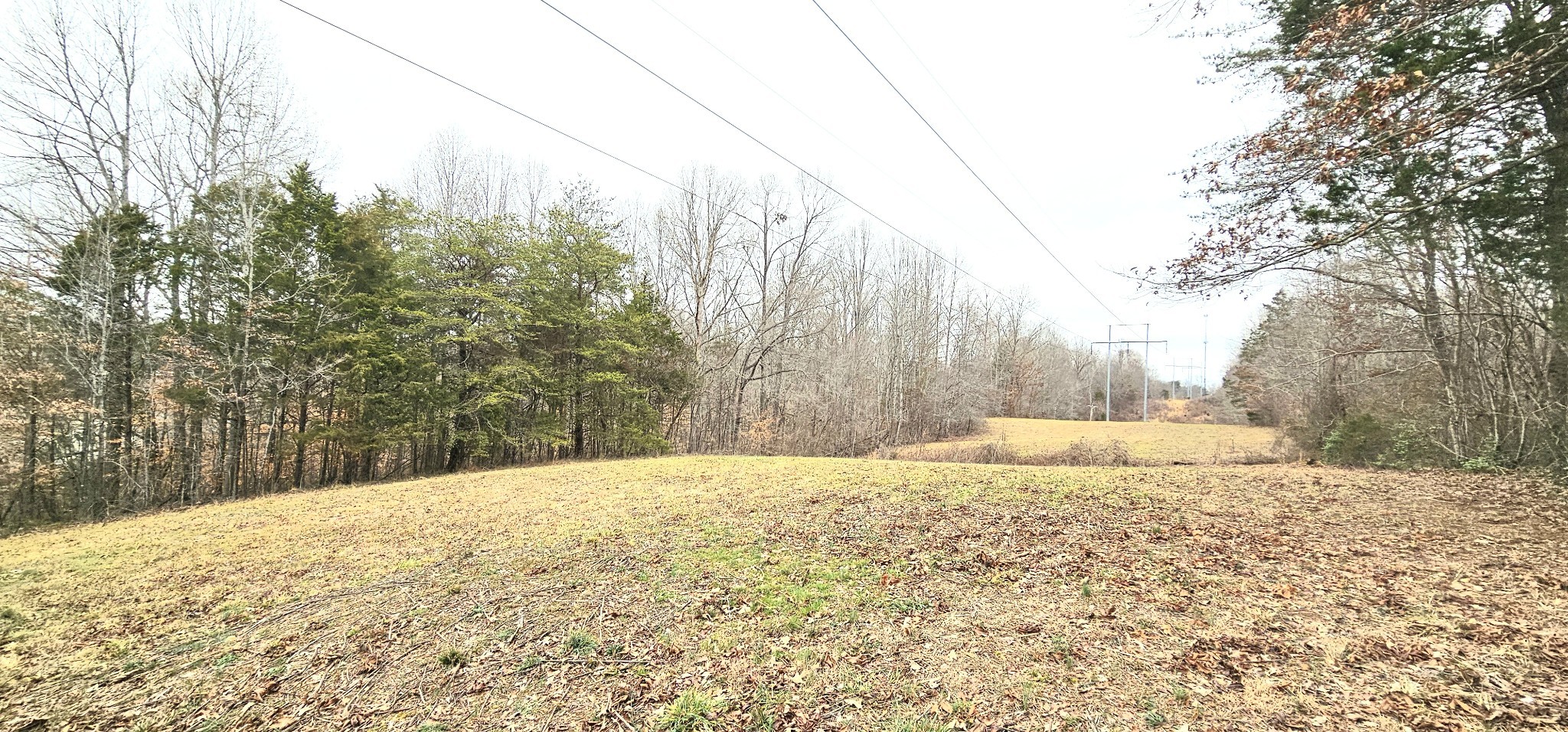0 Needmore Road McMinnville, TN 37110 - Photo 3 of 6 a view of big yard with large trees