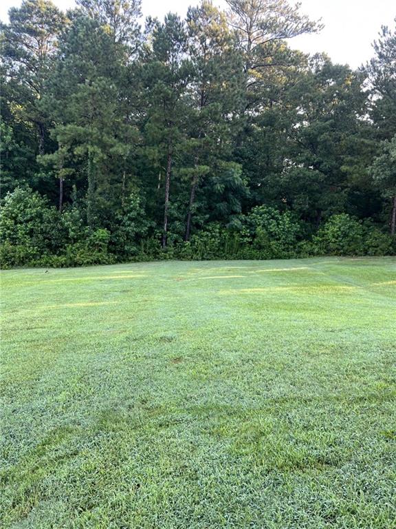 270 Wellbrook Drive Covington, GA 30016 - Photo 11 of 11 a view of a field with a trees in the background