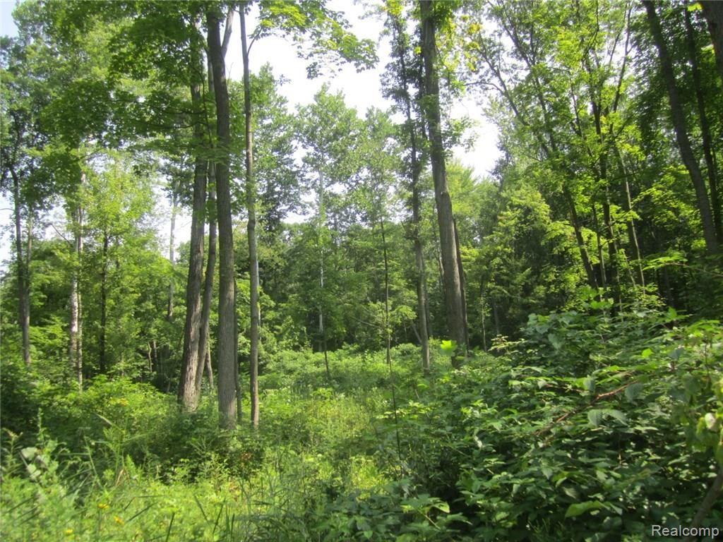 Vacant Hivon Road Carleton, MI 48117 - Photo 2 of 6