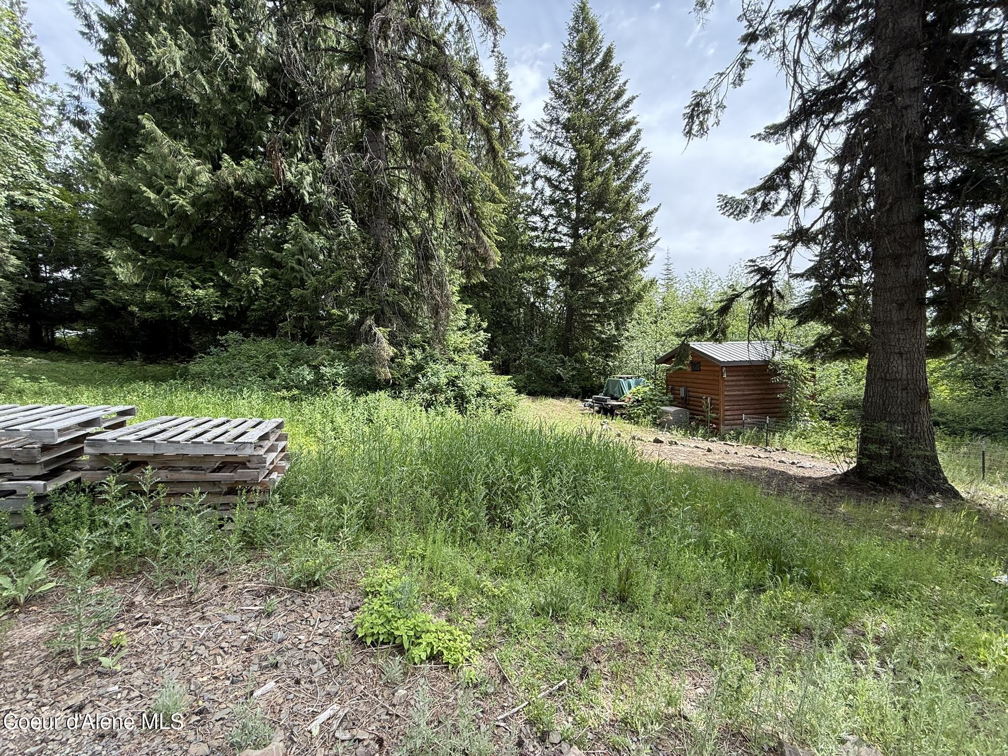 Tbd Tbd St. Maries, ID 83861 - Photo 16 of 42 IMG_6656